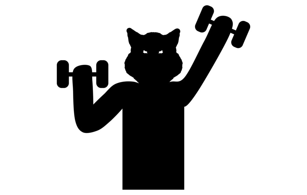 Minimera uppehåll i din styrketräning